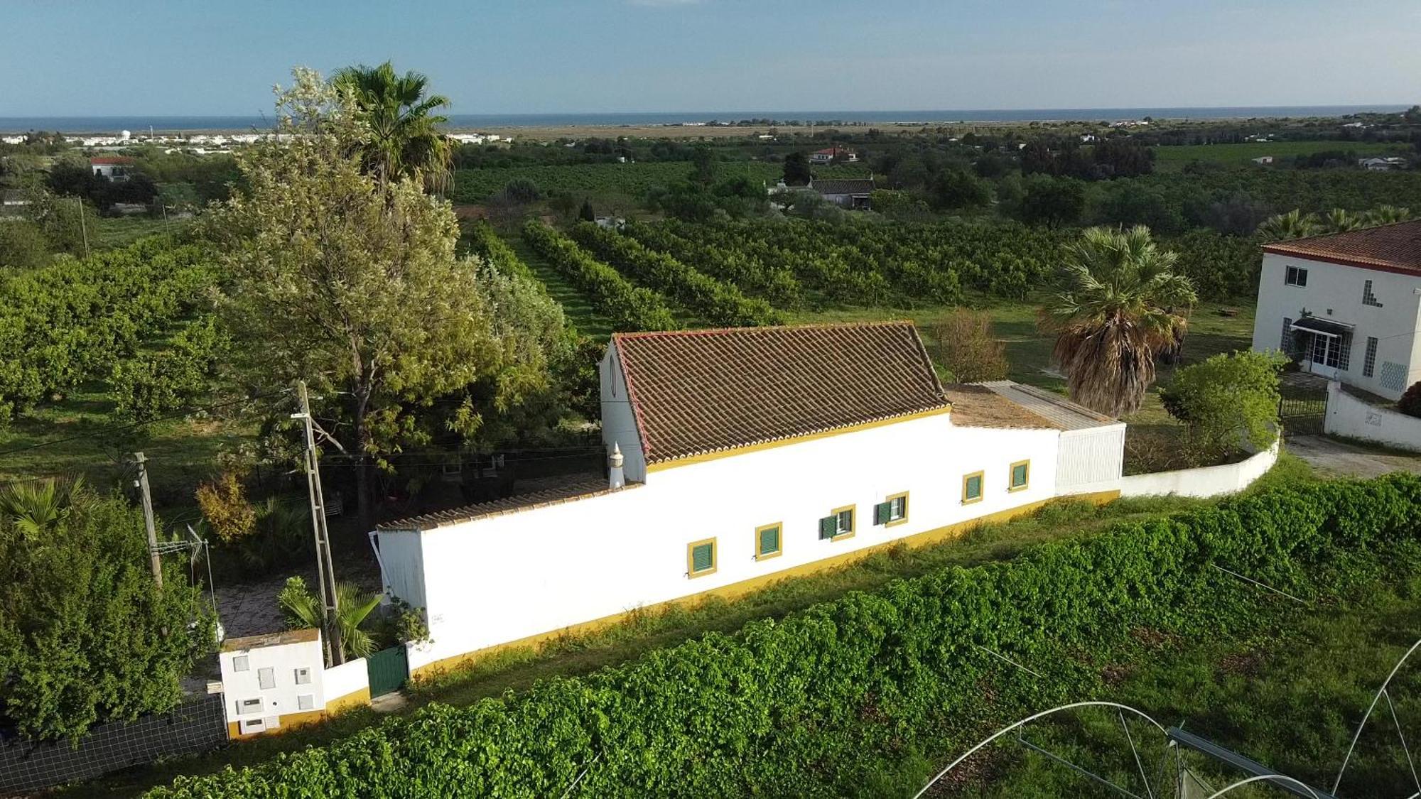 Hotel Quinta Rosa Branca Tavira Esterno foto